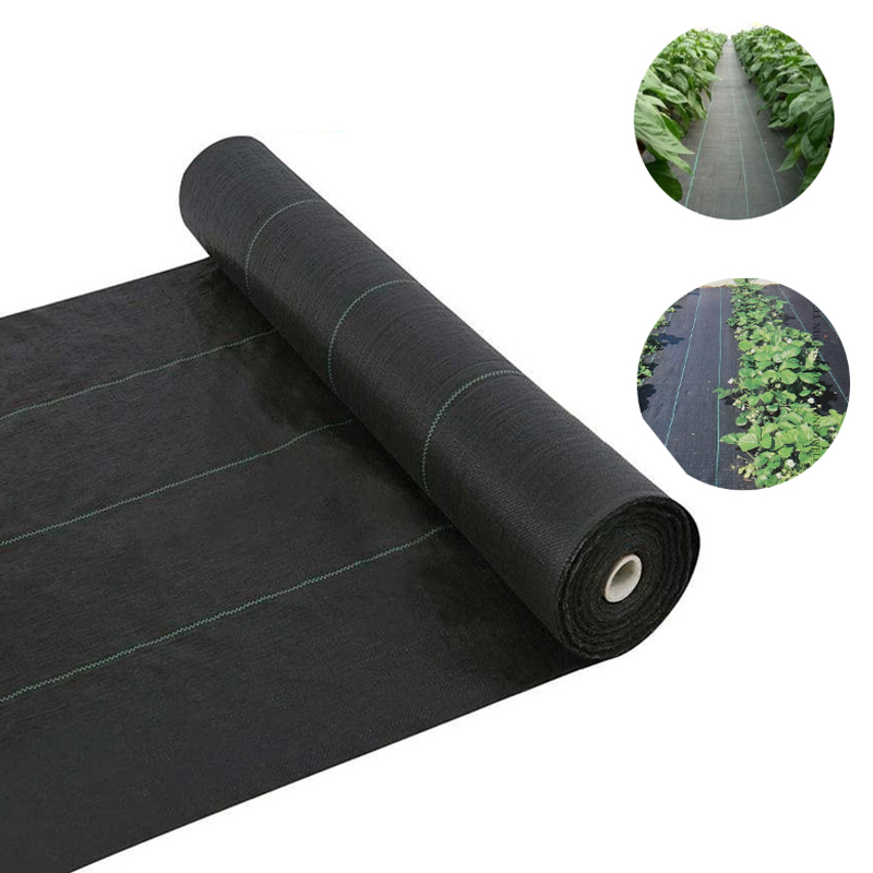 PP Woven Membrane PE Ground Cover Mesh Weed Mat Roll Anti Grass Weed Control Cloth Blocker Mulch Film