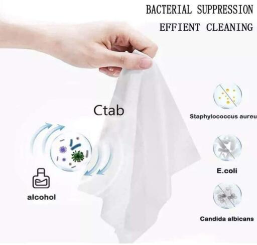 Eco Friendly Organic Ingredients Wet Wipes 80PCS