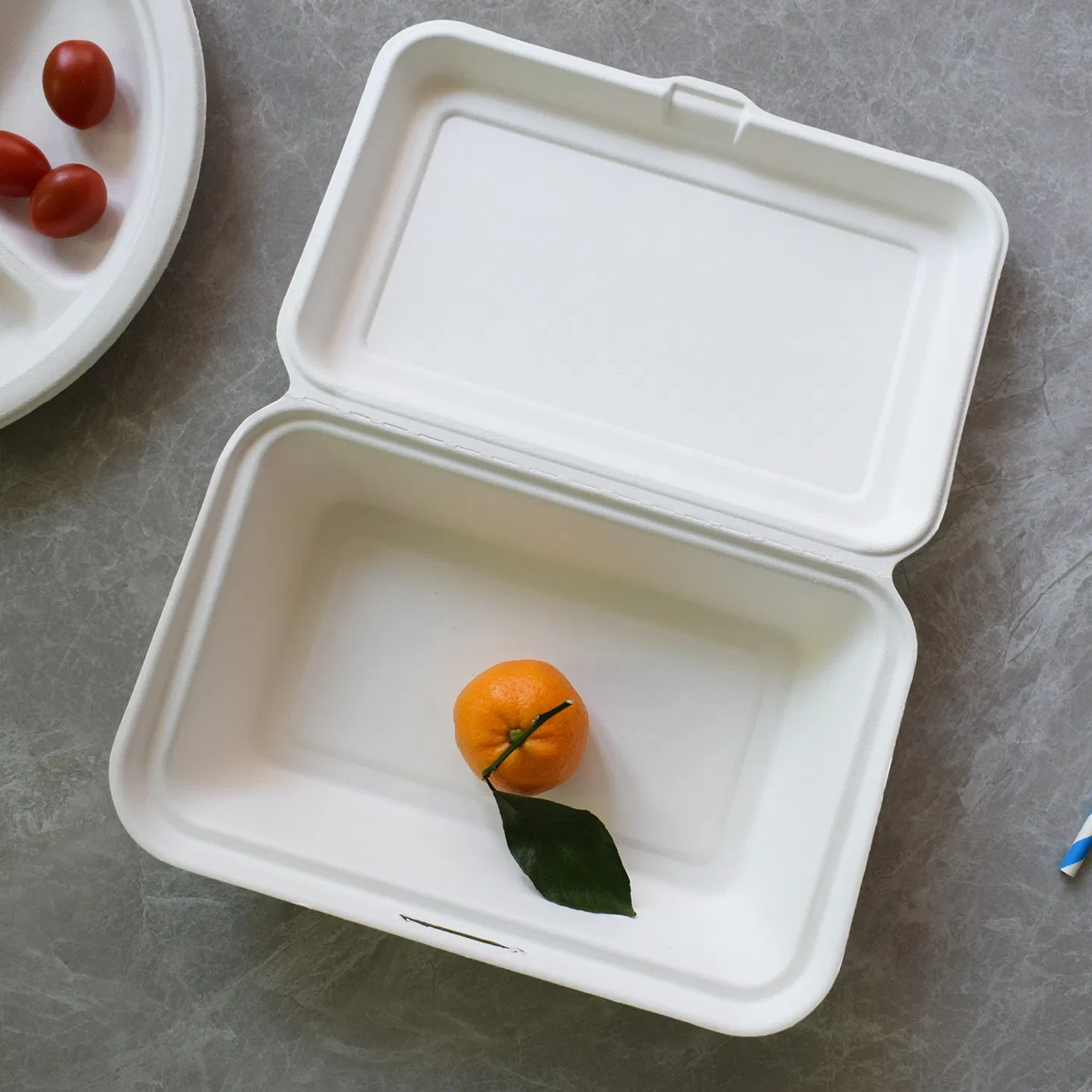 Biodegradable Compostable Disposable Eco Friendly Sugarcane Bagasse Dinnerware