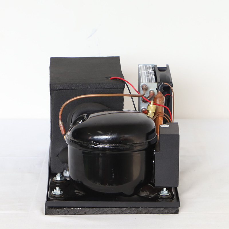 Purswave SA25DC DC 12V24V Mini Air Cooler for Cats Refrigeration Units Air Cooled Compressor Units Small Portable Air Conditioner Units Tiny Compressor