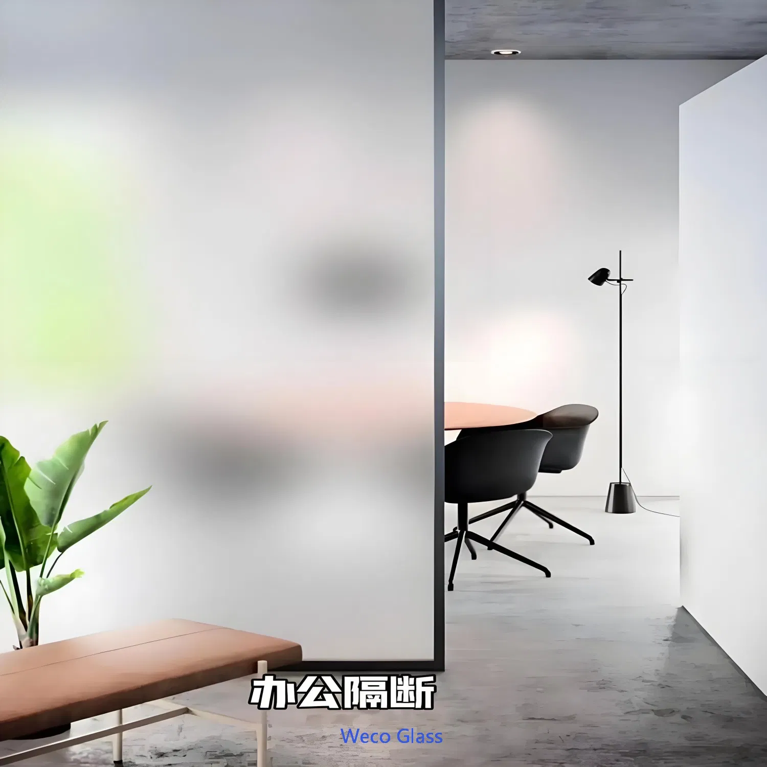 Frosted Clear Float Acid-Etched Glass for Bathroom and Shower Enclosures