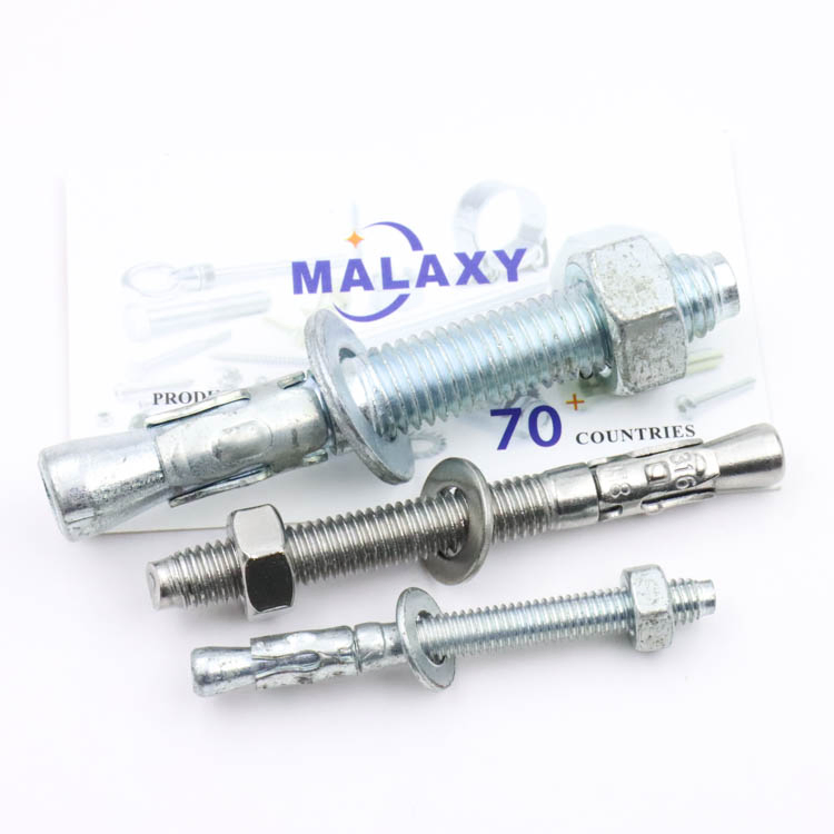 Malaxy Corrosion-Resistant Stainless Steel Wedge Anchors