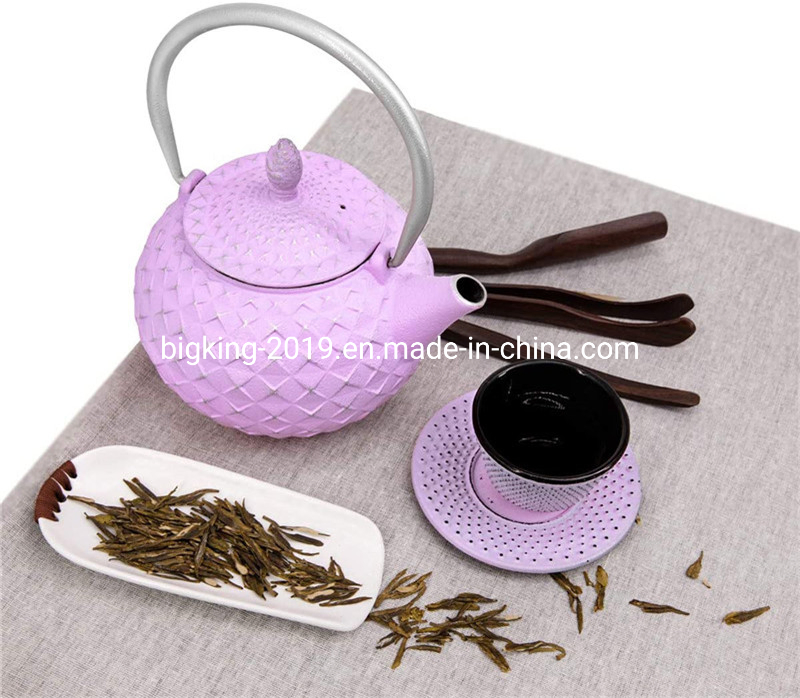 Cast Iron Teapot with Stainless Steel Filter 0.8L Tea Pot Kettle