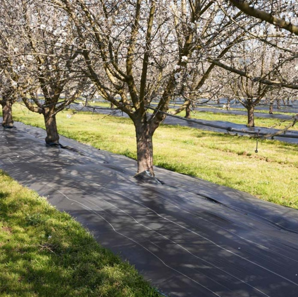 PP Woven Fabric Ground Cover Weed Barrier Control Mat for Landscape