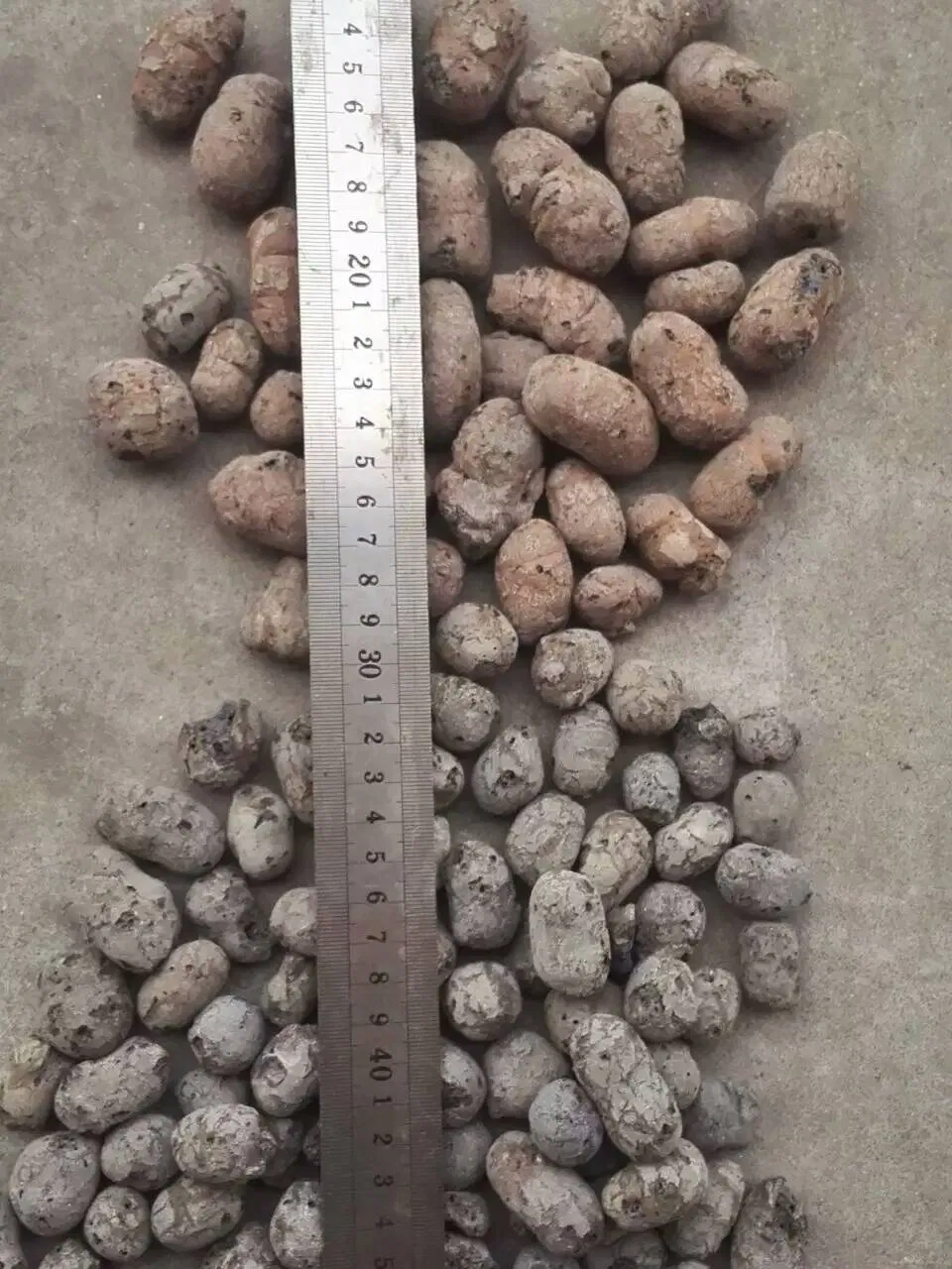 Garden Leca / Lightweight Expanded Clay Aggregates for Hydroponics