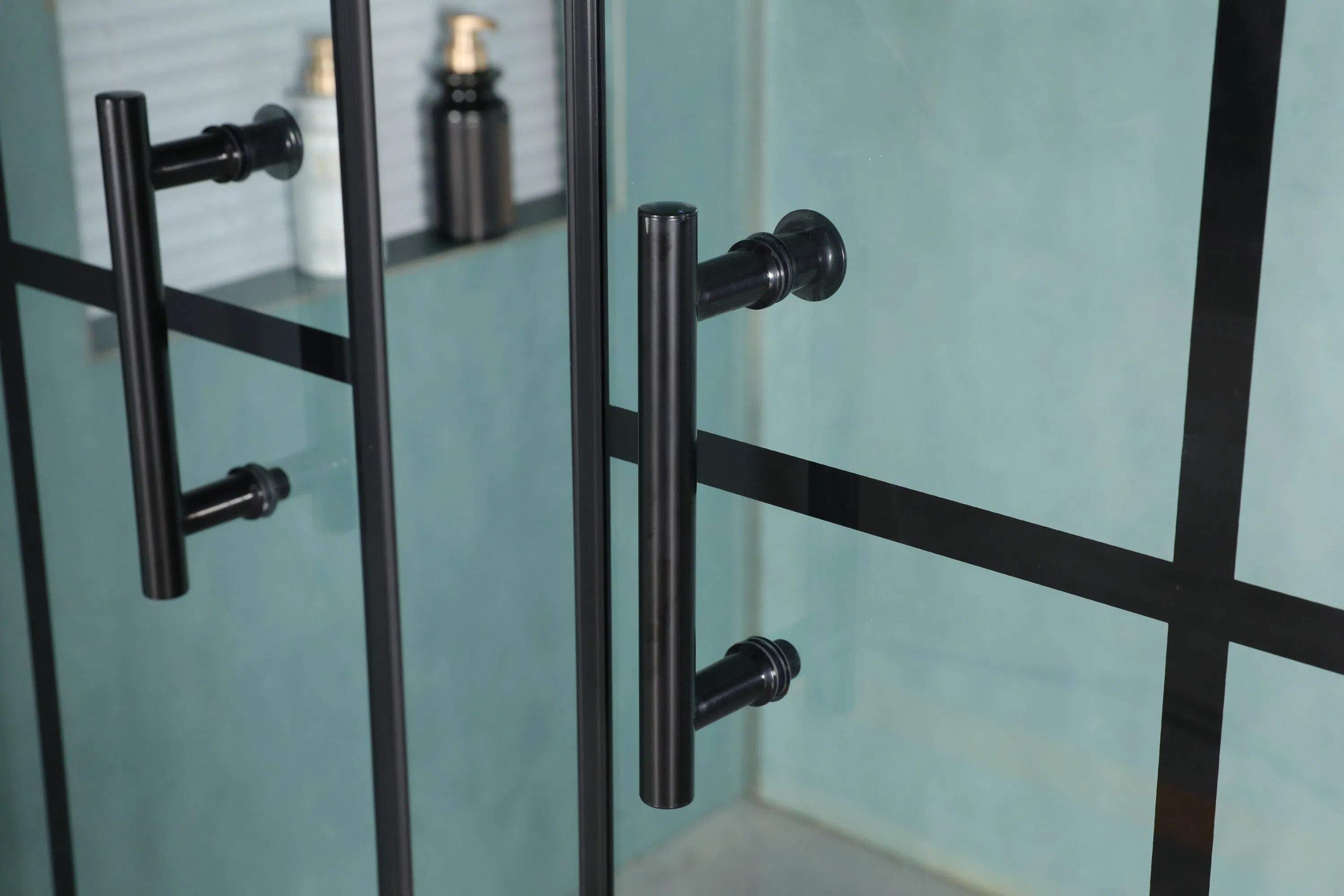 Matt Black Profile Tempered Glass Sliding Door Wilk in Screen