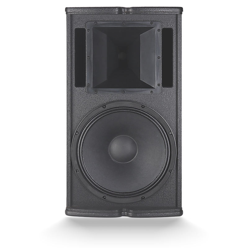 Premium 500W Full-Range Passive Speaker for Superior Sound