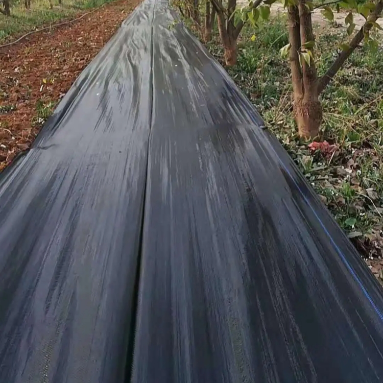 UV Protection Agricultural/Landscape Garden Biodegradable Plastic/PP Woven Geotextile/Ground Cover/Anti Grass Weed Control
