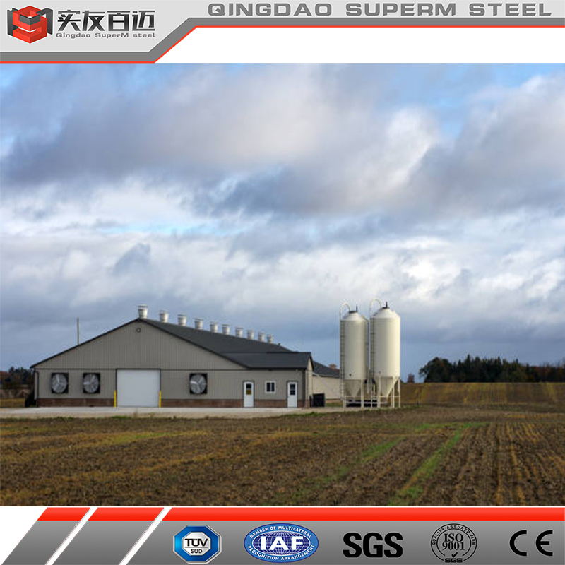 Hot Sale Prefabricated Steel Structure Poultry House for Chicken Broiler Shed