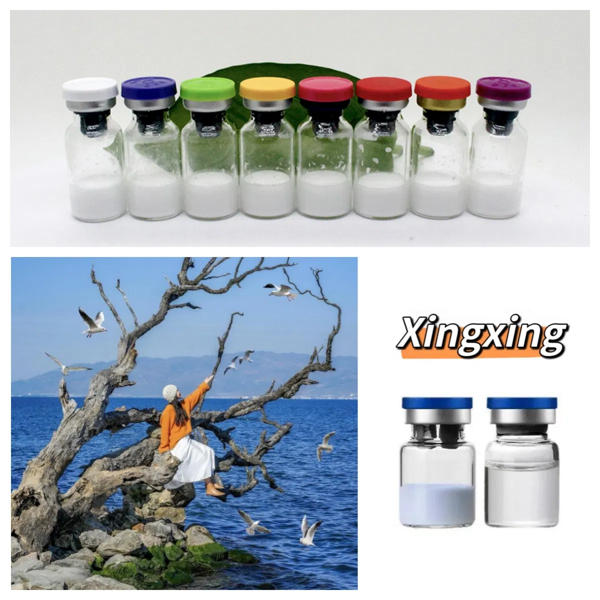 Premium Xingxing Brand China Origin Copper Peptide Ghk-Cu Bulk Peptide