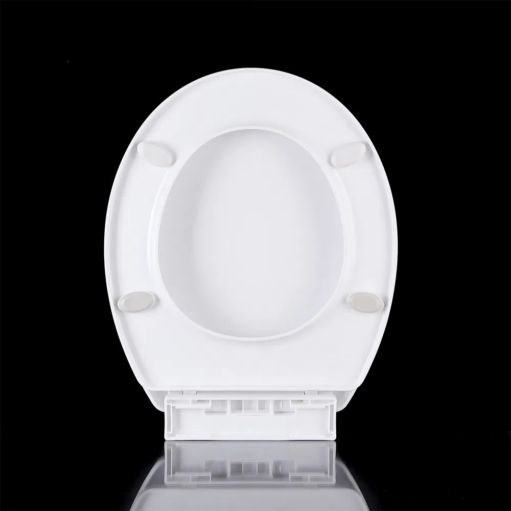 High Quality New UK European market style bus toilet seat for lavatory