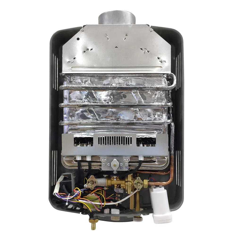 Golden Supplier Universal Mini Portable Caravan Tankless Gas Water Heater 110V