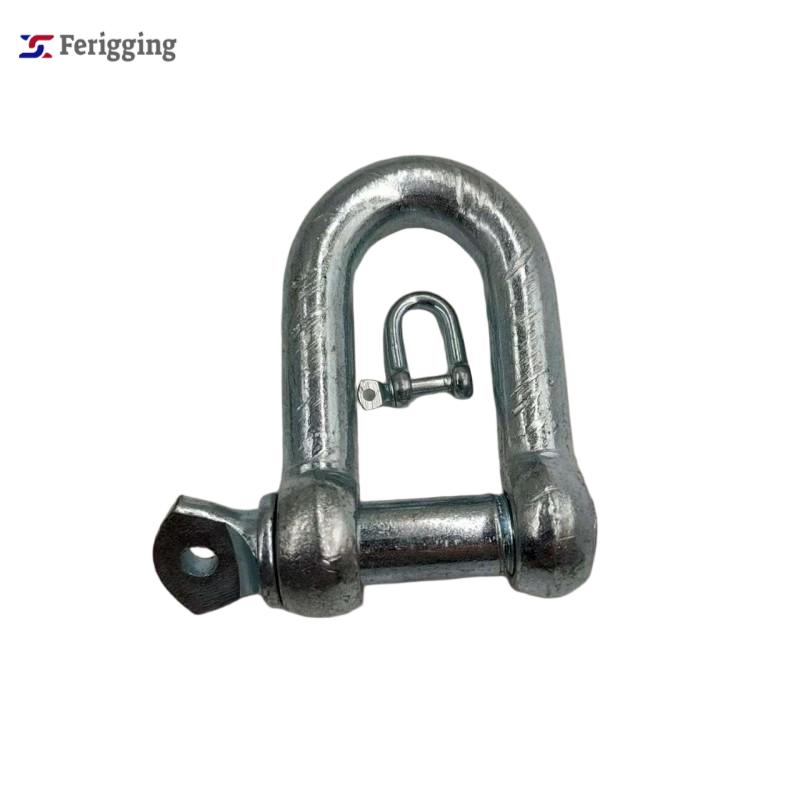 Wholesale D Shackle Galvanized Steel Bow Shackle with Screw Pin