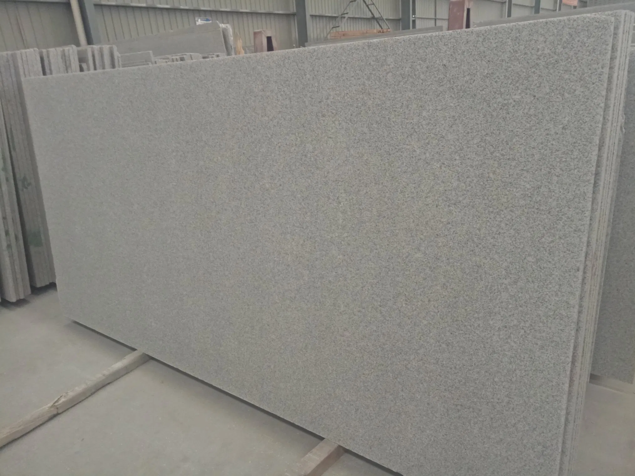 Chinese G603 Light Grey Granite Slabs for Flooring, Walling and Paving Tiles