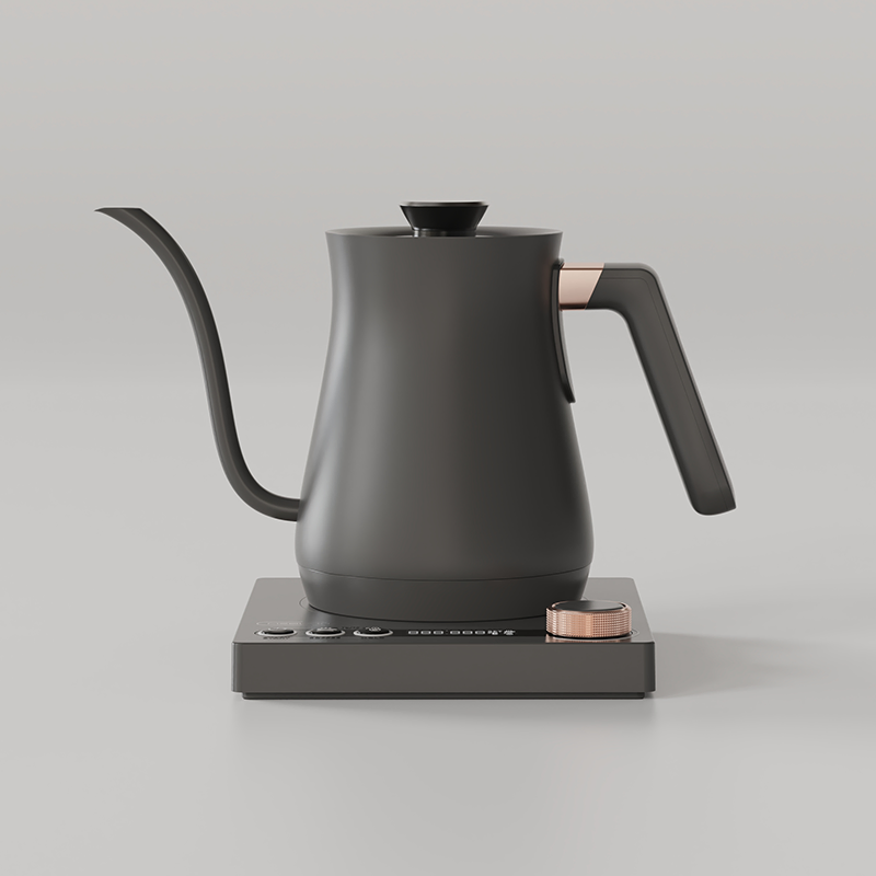 Ranbem Automatic Shut off 1000 Watt Quick Heating Temperature Control Hot Water Boiler Pour Over Tea Kettle