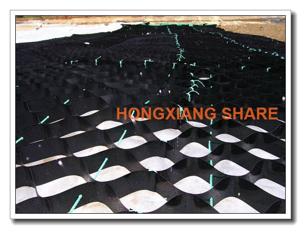 Factroy Supply CE Approved Geocell for Reinforcement Project