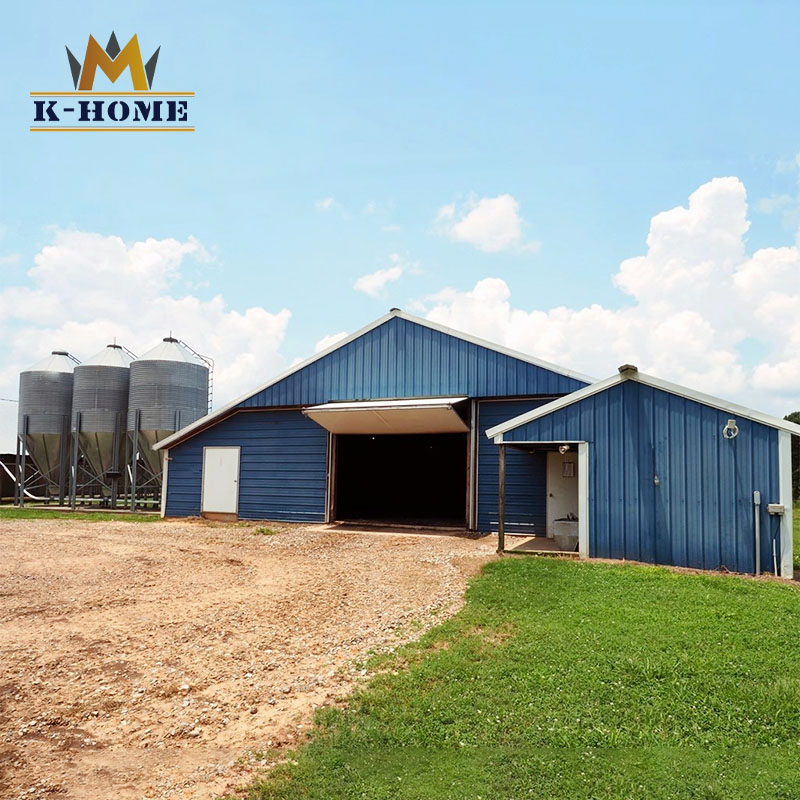 China Cheap Steel Structure Industrial Poultry Broiler Chicken Farm for Sale