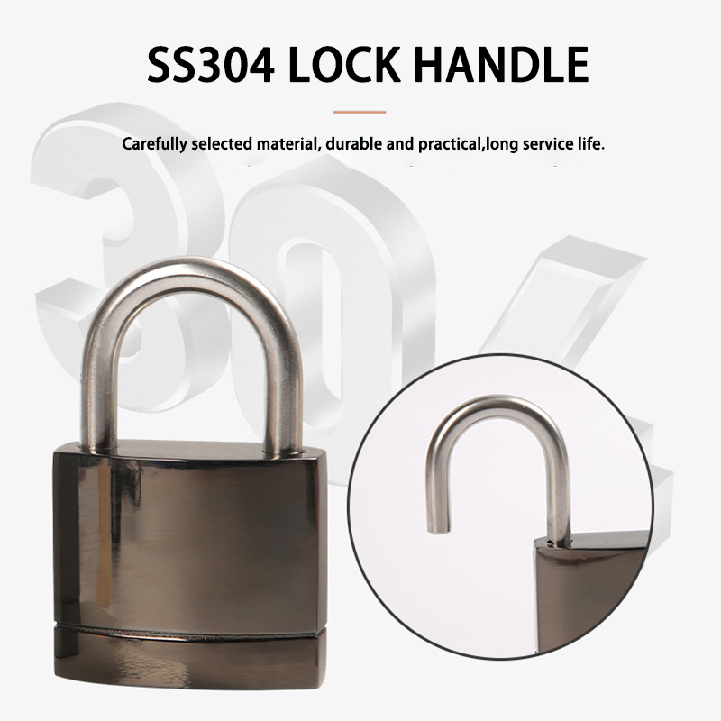 Waterproof Stainless Steel Smart Fingerprint Padlock Used for Outdoor
