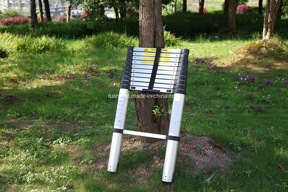 En131 Approved Retractable 3.8m Aluminium Ladder