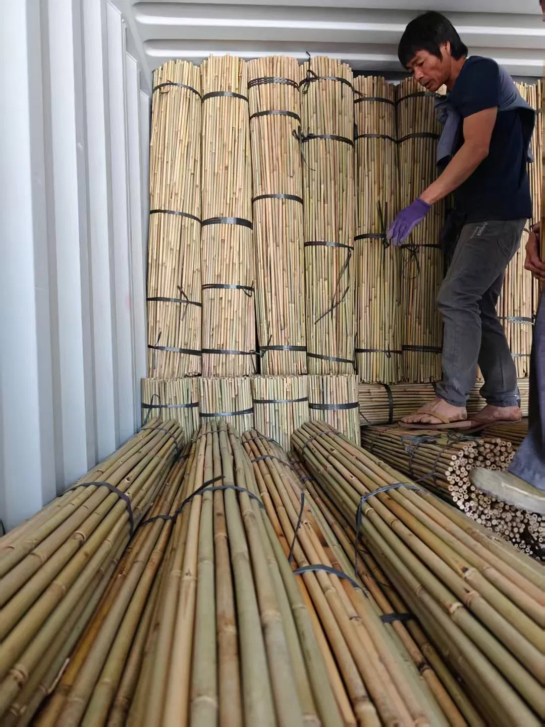 High Quality Nature Bamboo Cane Stake Dia. 22-24mm X 300cm for Plants Grow and Decorative