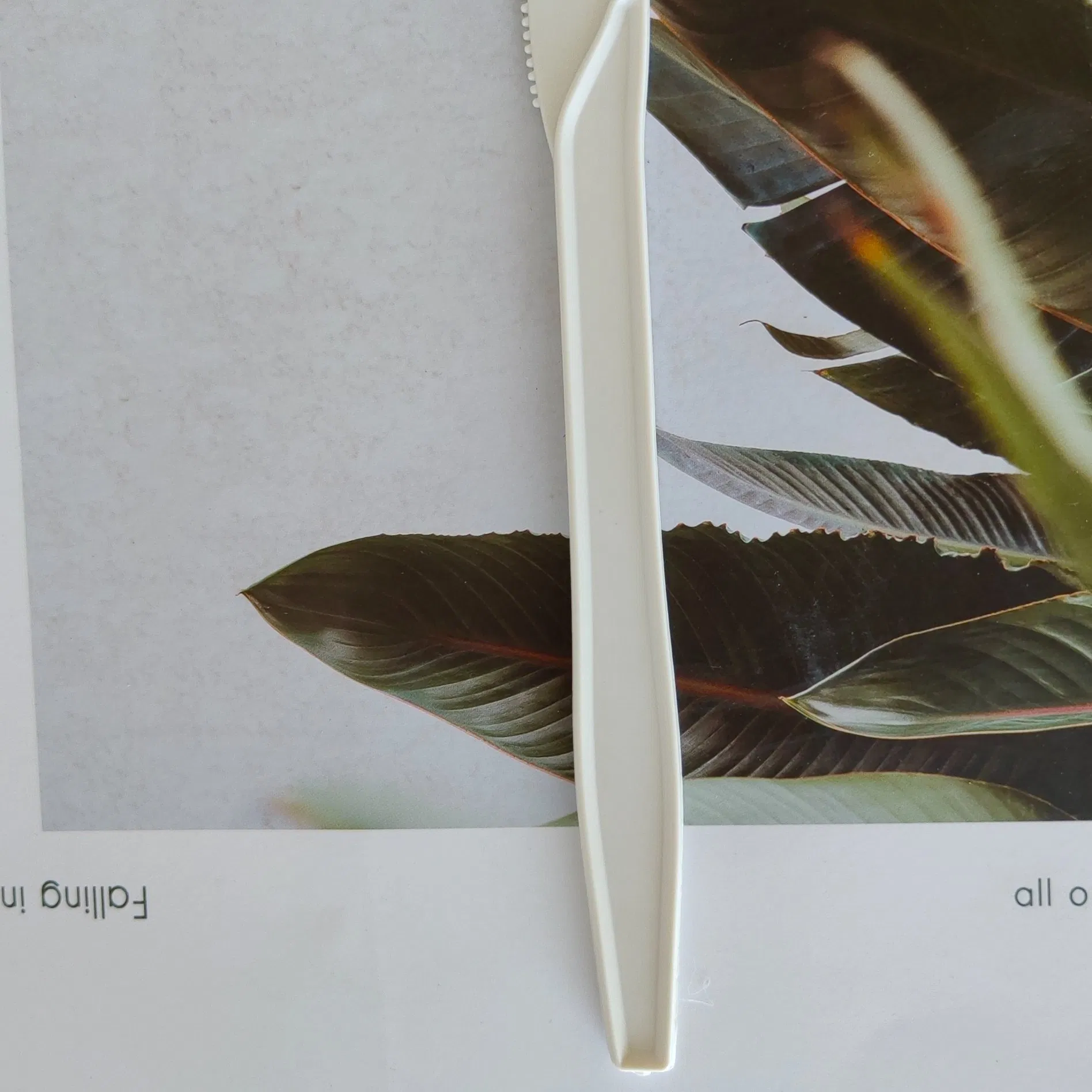 Disposable Knives Heavy Duty Fork Spoon Utensil Packs for Parties Sustainable Travel Options