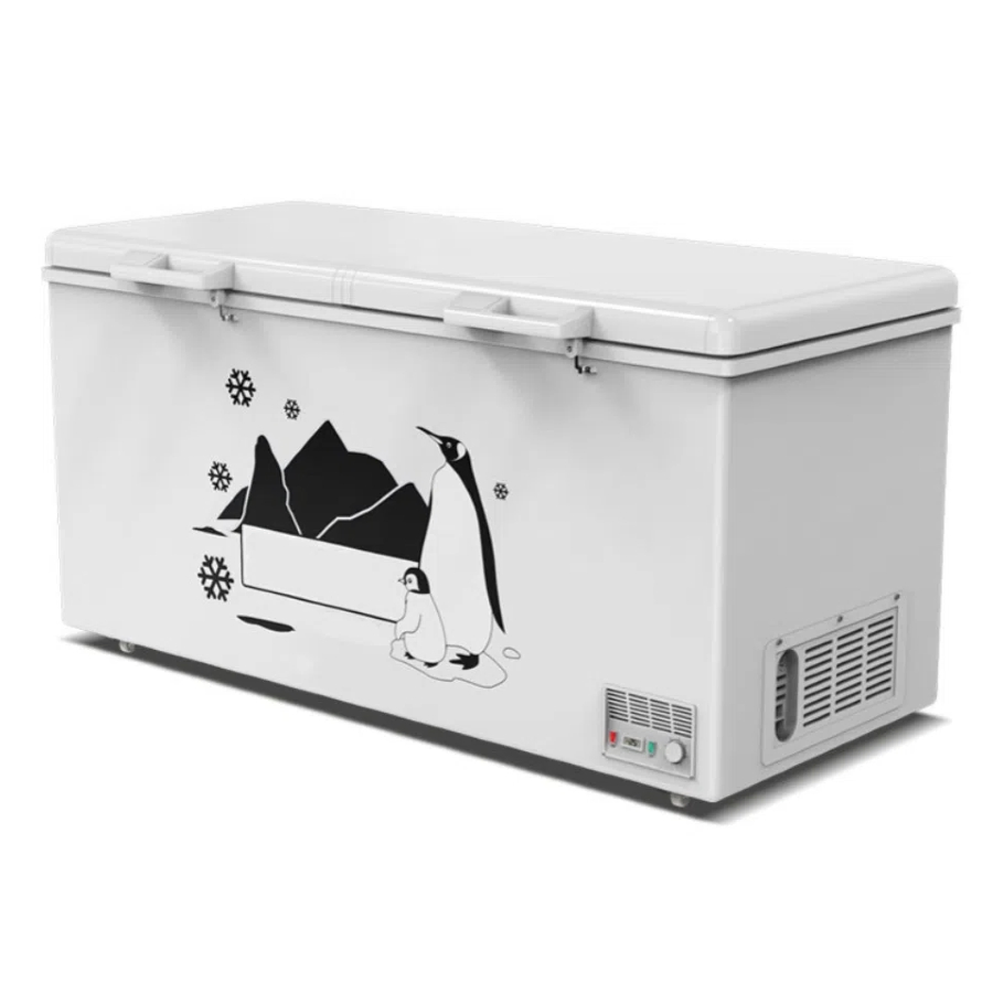 Space Optimized Horizontal Freezer with Efficient Cooler System