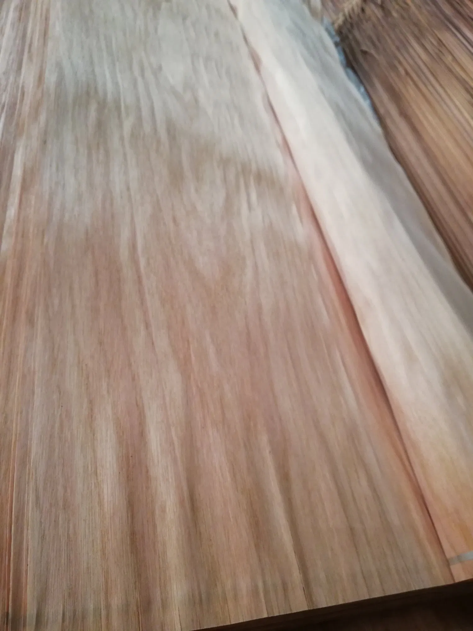 Factory-Natural Veneer Plb, PA and Bur Veneer in 0.25mm