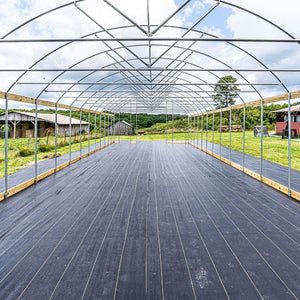 Plastic Film Tent Tunnel Greenhouse Steel Structure for Sale