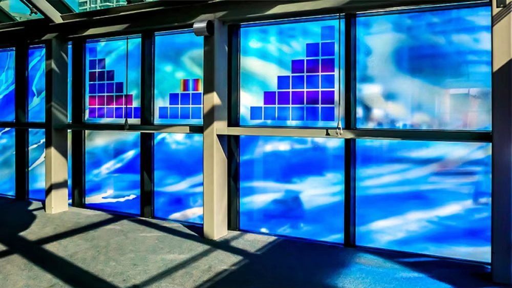 Black Green Blue Pink Color Glass Tinted Float Building Design Glass