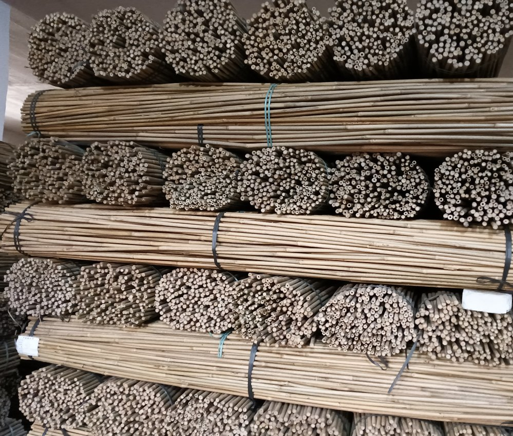 Chinese Bamboo Pole Raw Materials/Tea Bamboo