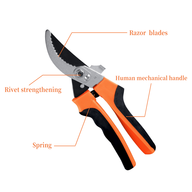 Fruit Trees Garden Tools Stainless Steel Pruner Tree Cutter Gardening Pruning Shears