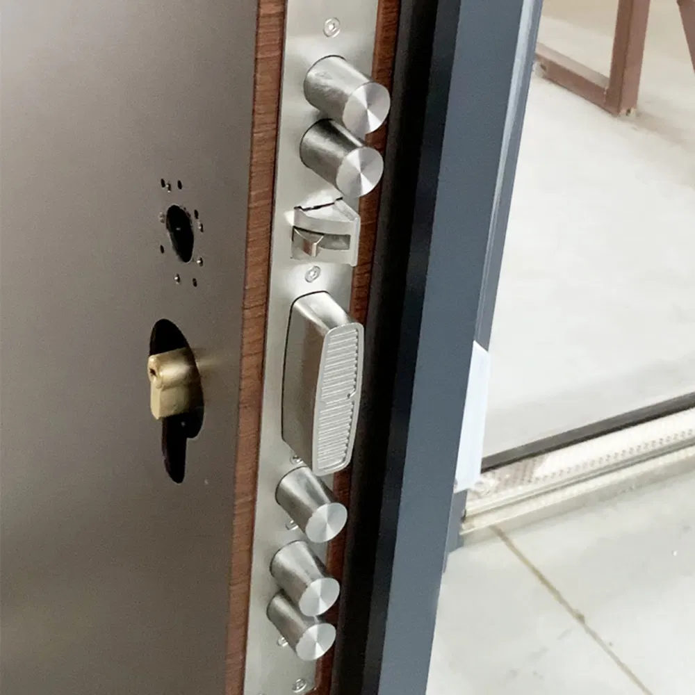 Security Exterior Double Steel Door