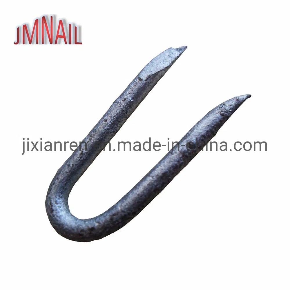 1-1/4"Xbwg9 Hot Dipped Galvanized U Type Nail