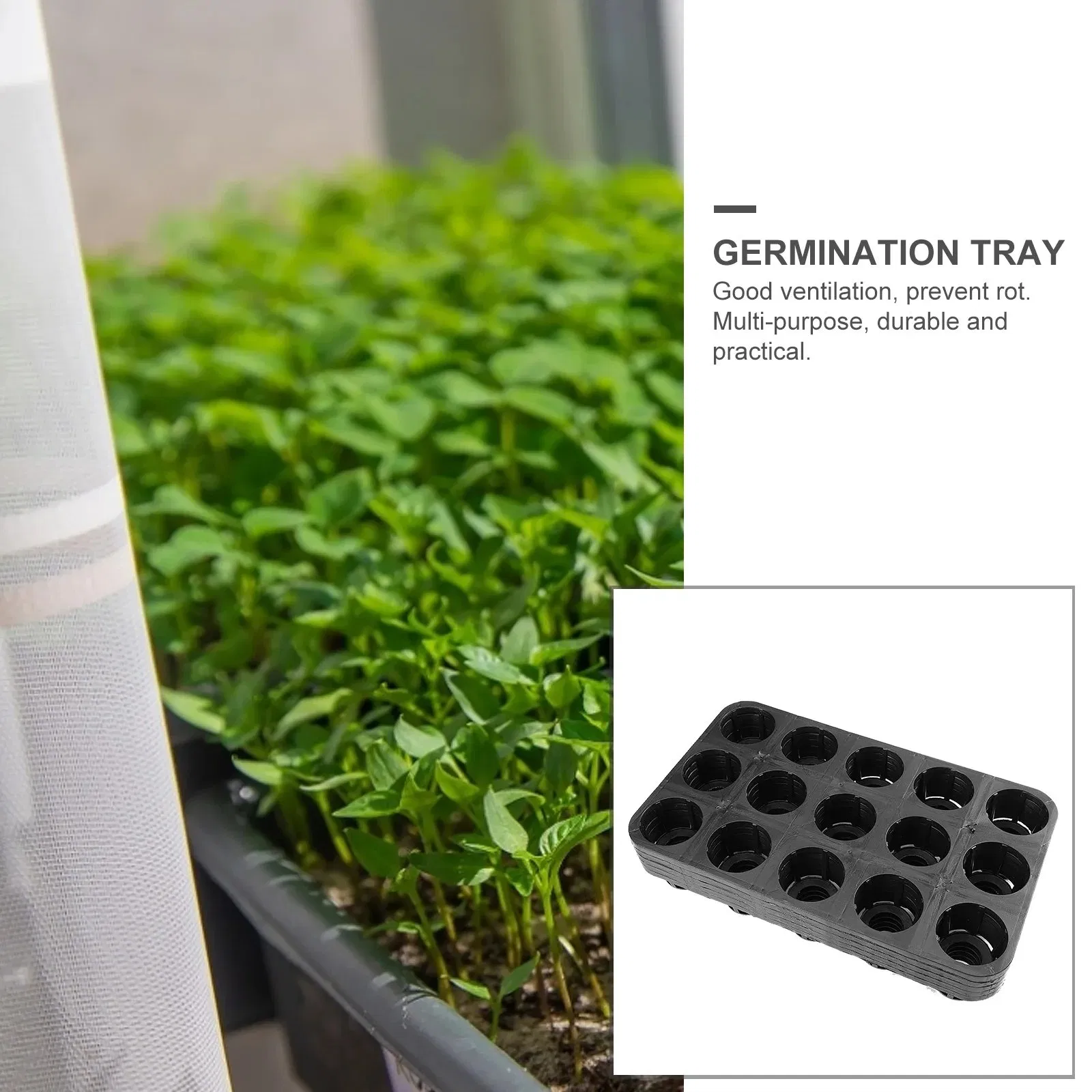5PCS Phalaenopsis Tray Plant Germination Trays Planter Fruits Sowing Supply Garden Planting Nursery Greenhouse Plates Plastic Tray