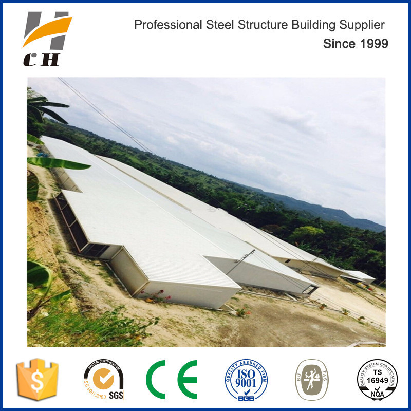 Factury Price Light Weight Metal Steel Structure Frame Broiler Farm/Poultry House/Broiler House/Chicken House with Equipment