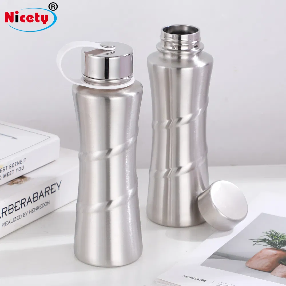 Factory Direct Classic 16.9oz Stainless Steel Water Bottle with Handle Lid Portable Design for Drinks Water Hot Sale