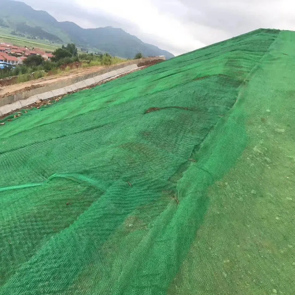 3D Plastic Erosion Control Geosynthetic Geomat with Modern Design for Outdoor Slope and Landscape Greening