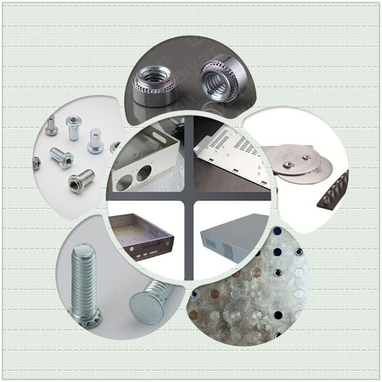 Manual Button Setting PLC Control Max M12 Nut M10 Bolt 80kN Force Fastener Clinching Press Machine