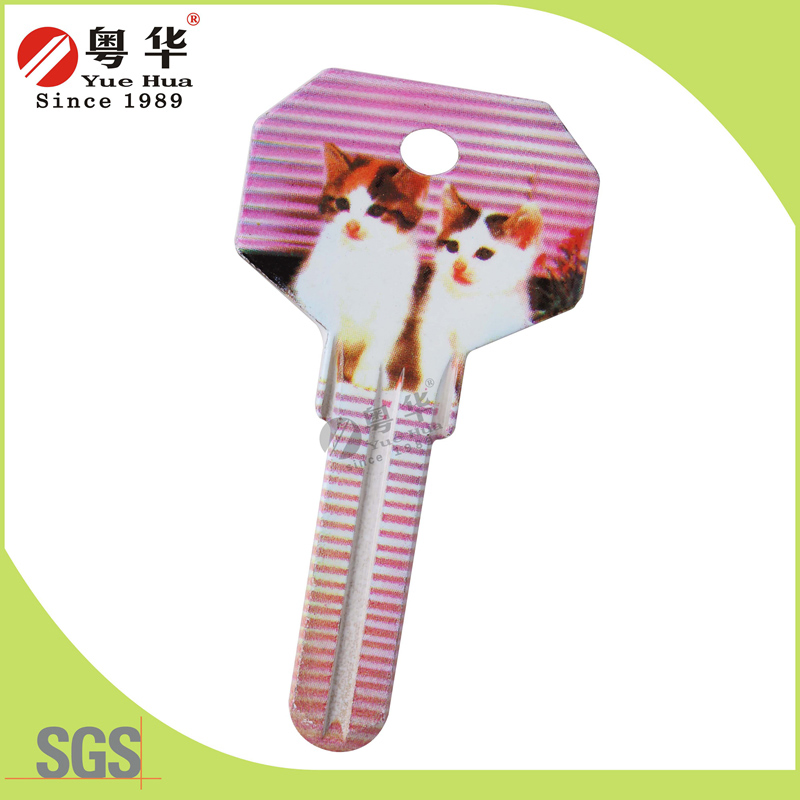 Mini 3D Animal Painted Color Remote Key Blanks for Locksmith
