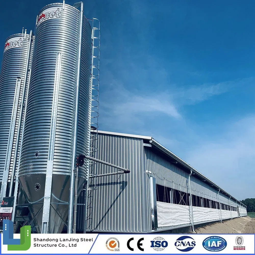 Modern Steel Structure Livestock Goat Cow Shed Pig Shed Prefabricated Building for Guyana/Indonesia/Philippines
