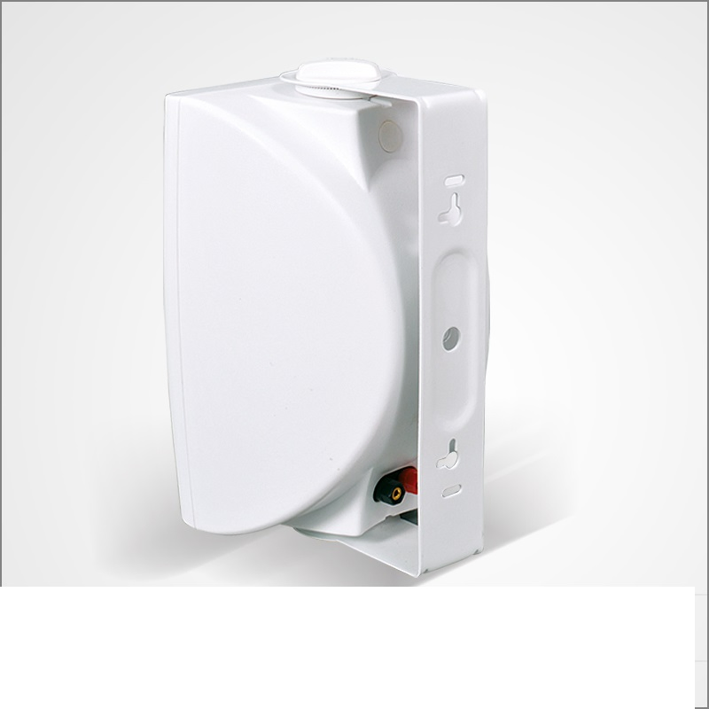 White Black 100V 8ohms Wall Mounted on Wall Speaker with Two Way Speaker Driver Lbg-5084 20W
