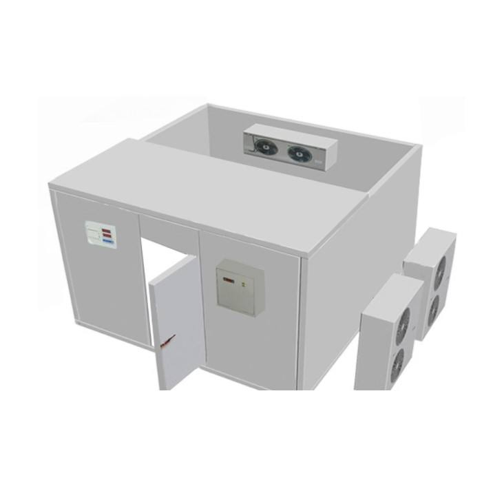 Supermarket Restaurant Frozen Seafood Food Storage Cold Room Freezer