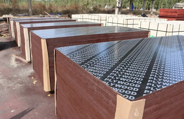 Linyi China Marine Plywood Film Faced Plywood Laminated Piywood