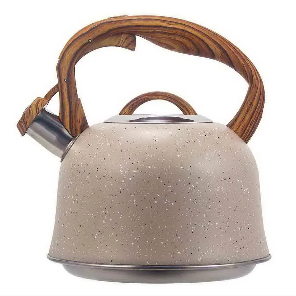 Чайник из нержавеющей стали 3 л с нейлоновой ручкой