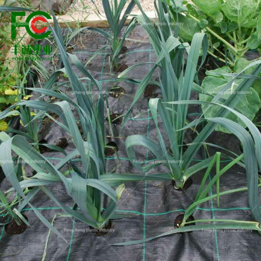 PE Geotextile Weed Mat: Ideal Weed Barrier for Long-Term Protection