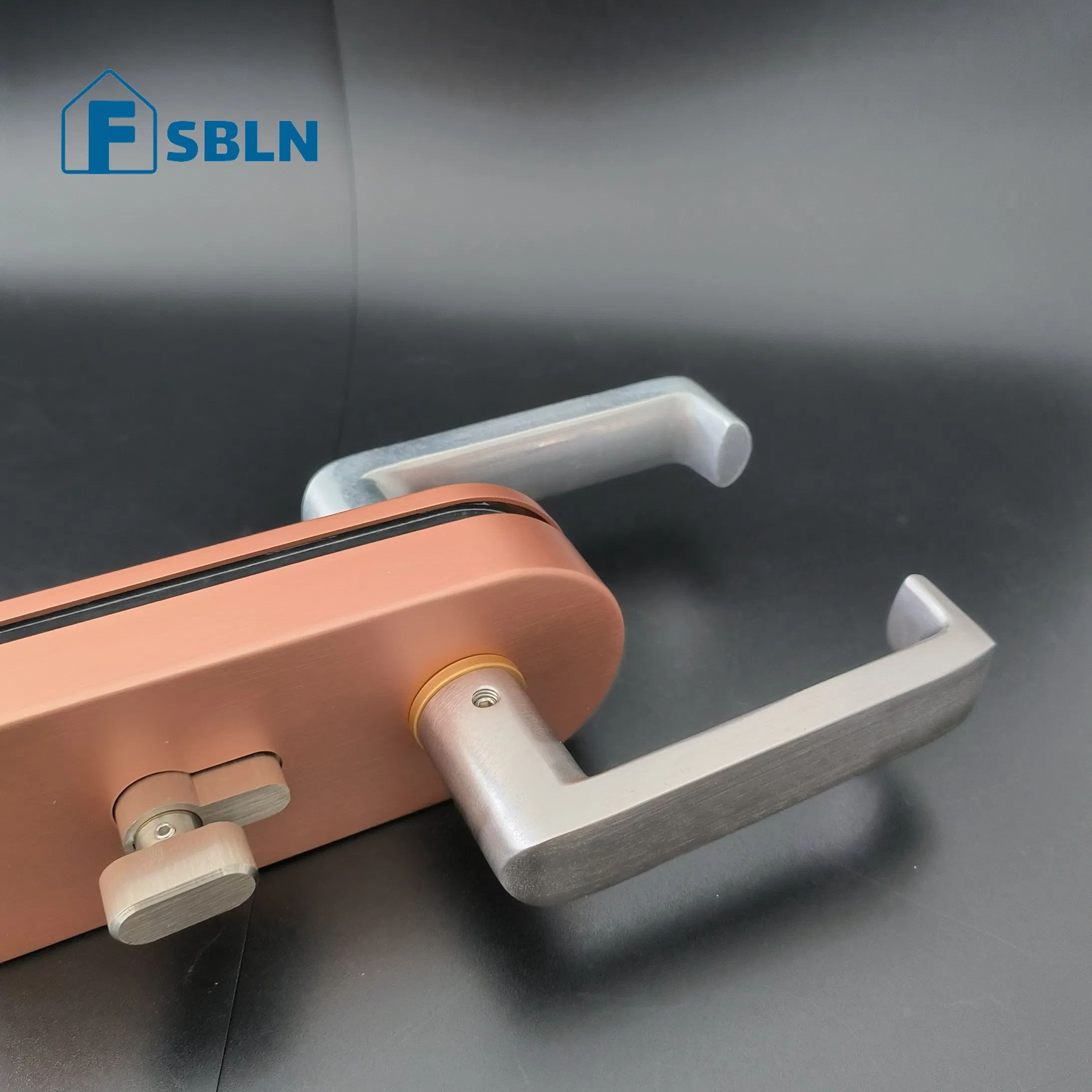 Aluminum Swing Glass Door Lock with Tempered Handle Lock Manufacturing Company Furniture Locks for Doors
