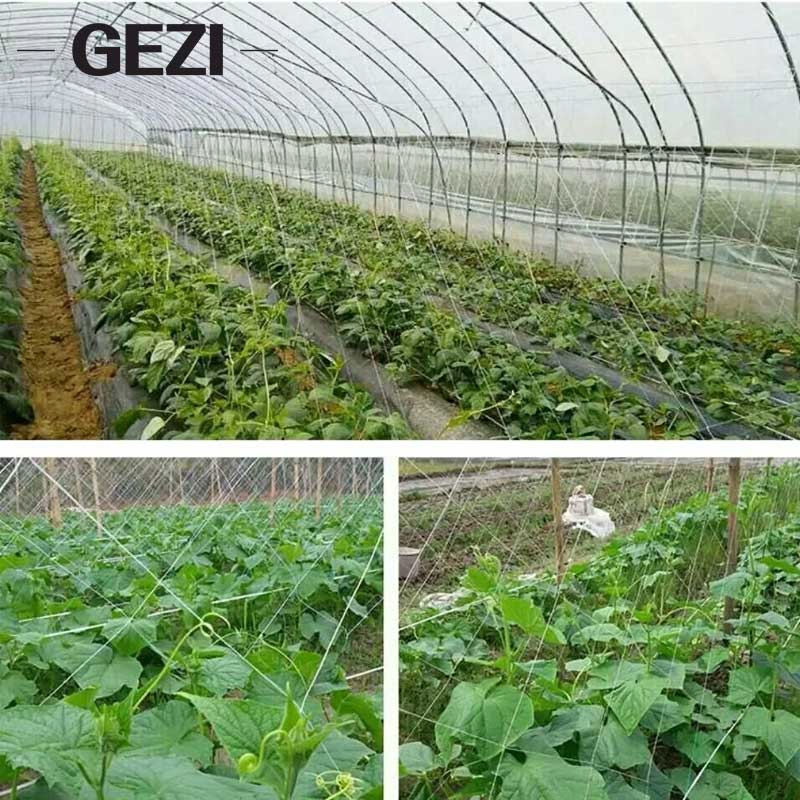 Сетка-шпалера для вьющихся растений, 1х1000 м, зеленая