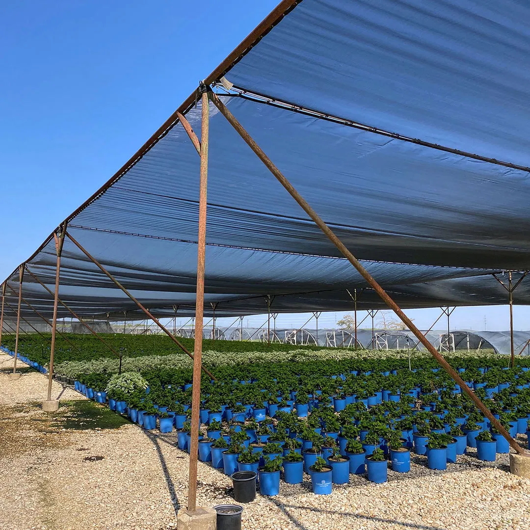 HDPE Agricultural Green Shade Netting for Farming Anti-Aging Shade Net