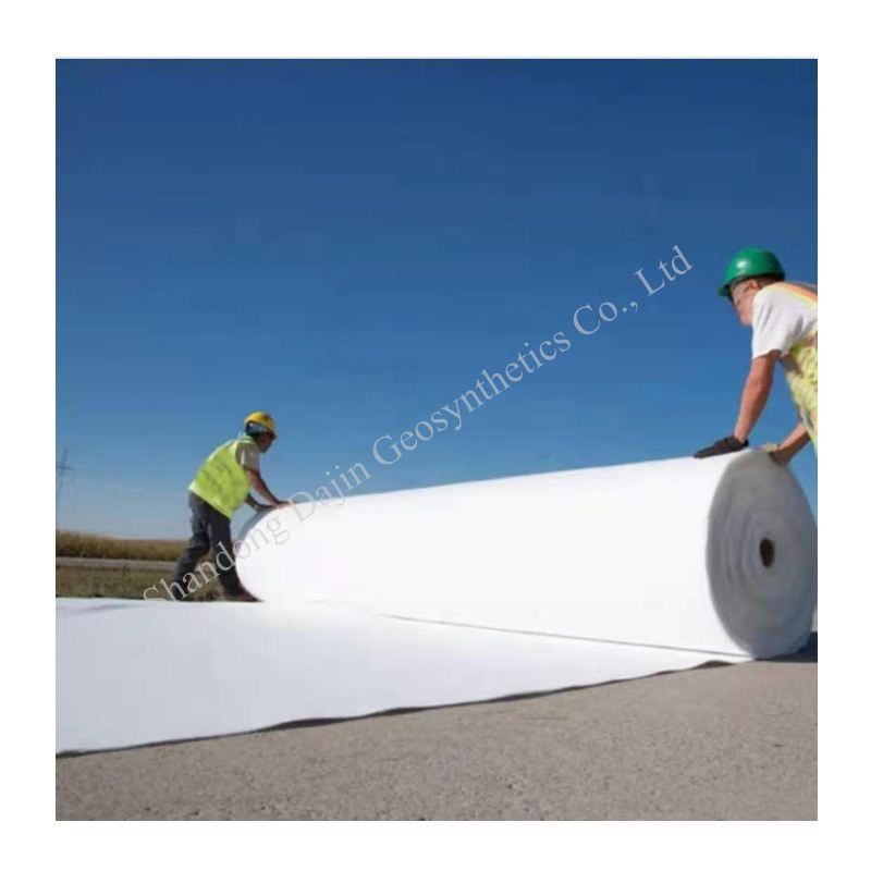 PP/Pet Woven Nonwoven 250g 350g Reinforce Slopes Strongly by Needle-Punched Geotextiles