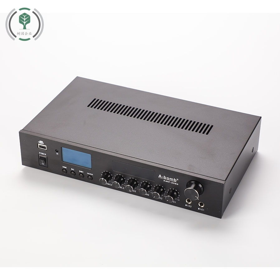 High Power Stereo Mixing Amplifier with USB FM Mic Input for Home Use